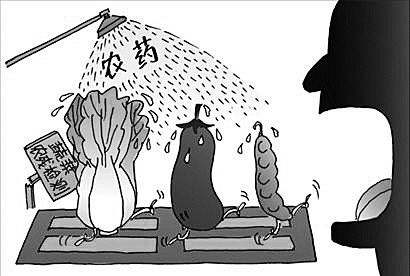 冬季，北方地區(qū)不僅要做好蔬菜儲備也要謹防農(nóng)藥殘留