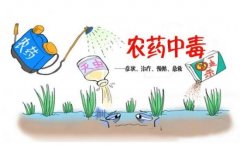 農(nóng)藥殘留速測(cè)儀助力“有機(jī)農(nóng)業(yè)”發(fā)展！